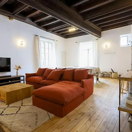 Le Thiou 3 Etoiles - Charmant & Authentique, Au Coeur De La Vieille Ville, Billard, 6 Personnes Annecy Exterior photo
